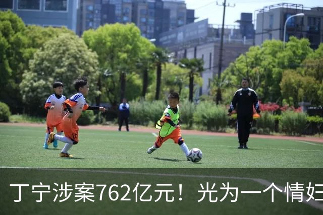 丁宁涉案762亿元！光为一个情妇就花了7.5亿元，前妻很幸运