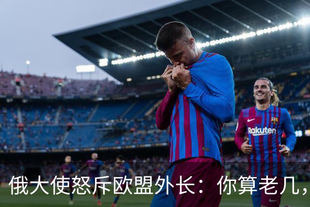 俄大使怒斥欧盟外长：你算老几，凭什么跟我们总统通话