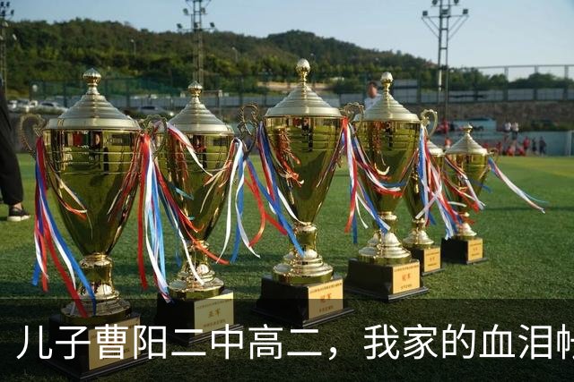 儿子曹阳二中高二，我家的血泪帐单