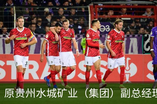 原贵州水城矿业（集团）副总经理张思明被开除党籍