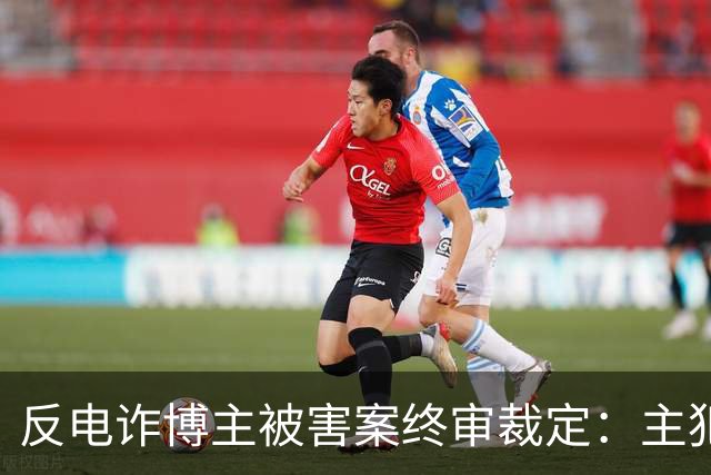 反电诈博主被害案终审裁定：主犯被判死缓，其余13人获刑
