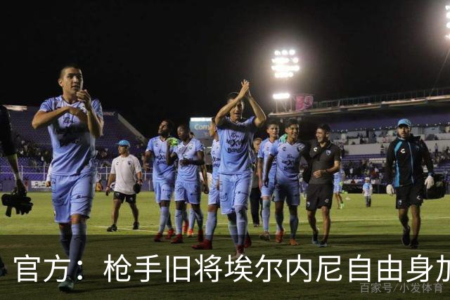 官方：枪手旧将埃尔内尼自由身加盟希腊超莱瓦贾科斯