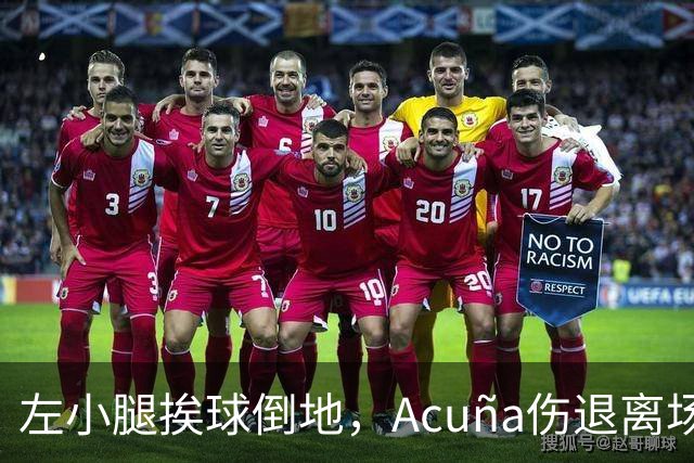 左小腿挨球倒地，Acuña伤退离场，勇士季后赛悬了