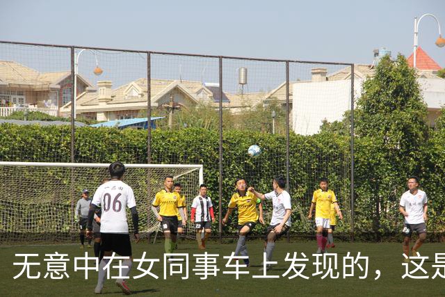 无意中在女同事车上发现的，这是用来干嘛的？
