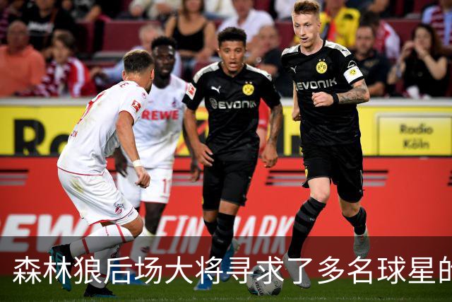 森林狼后场大将寻求了多名球星的意见，他为自己的恢复设定了期限
