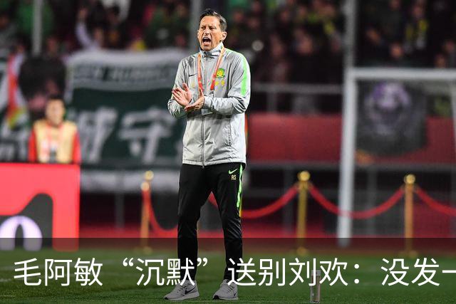 毛阿敏“沉默”送别刘欢：没发一条悼念，却悄悄做完了所有事