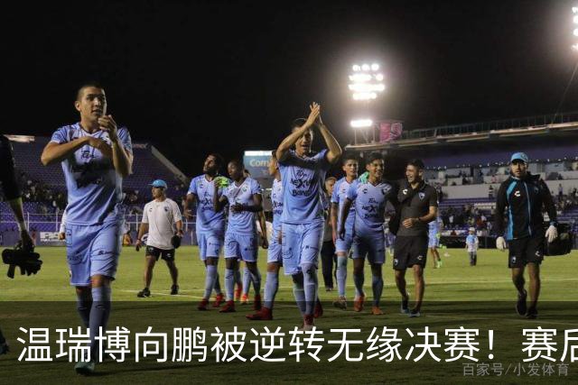 温瑞博/向鹏被逆转无缘决赛！赛后两人表情沮丧，郭焱一针见血！