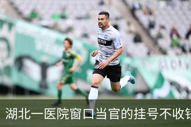 湖北一医院窗口"当官的挂号不收钱，老百姓收钱"引争议