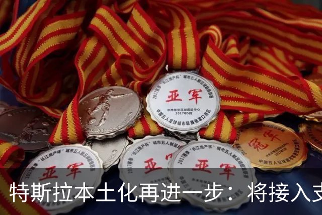 特斯拉本土化再进一步：将接入支付宝车载助手，告别手机停车缴费