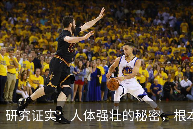 研究证实：人体强壮的秘密，根本不是肌肉！而是这几样东西