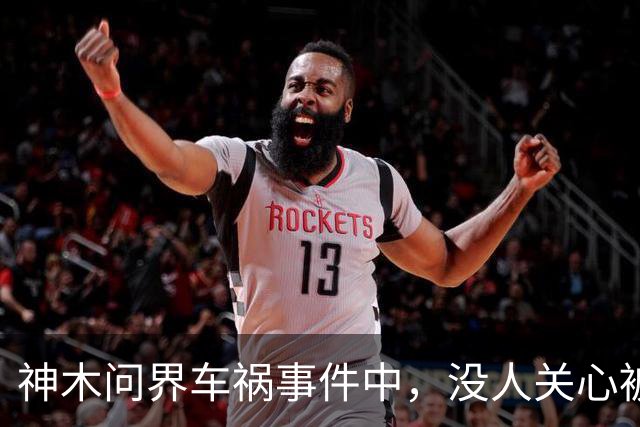 神木问界车祸事件中，没人关心被烧死的那个人