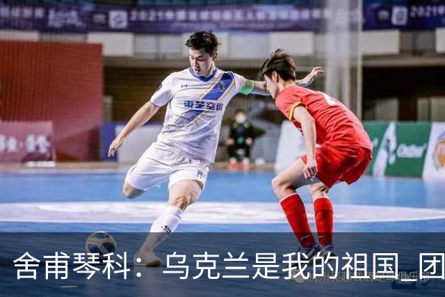 舍甫琴科：乌克兰是我的祖国 团结起来我们能胜利