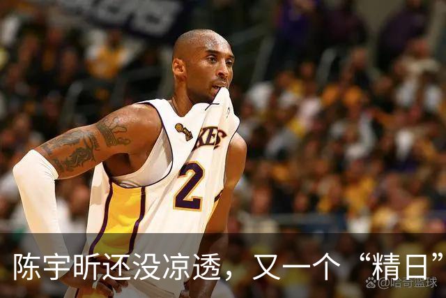 陈宇昕还没凉透，又一个“精日”人员被揪出来，竟然还是企业老板