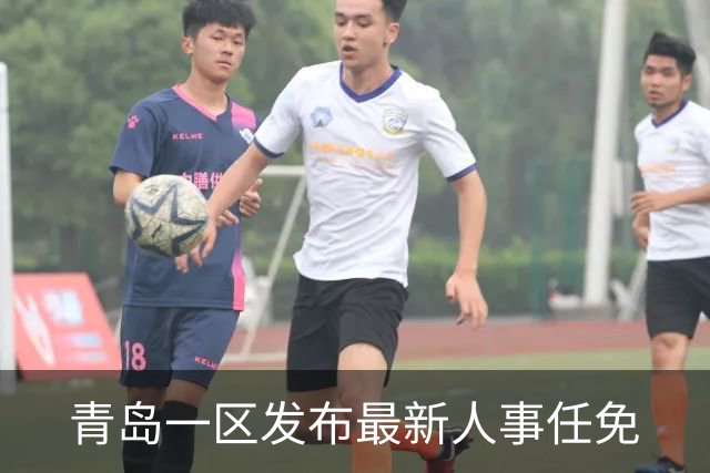 青岛一区发布最新人事任免