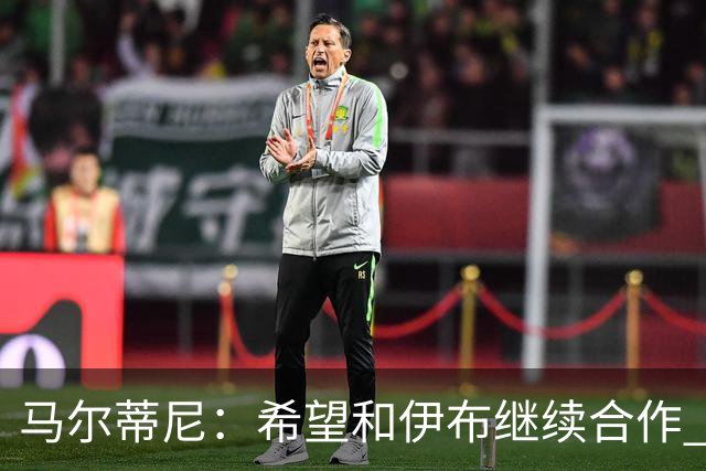 马尔蒂尼：希望和伊布继续合作 未和凯西达成一致