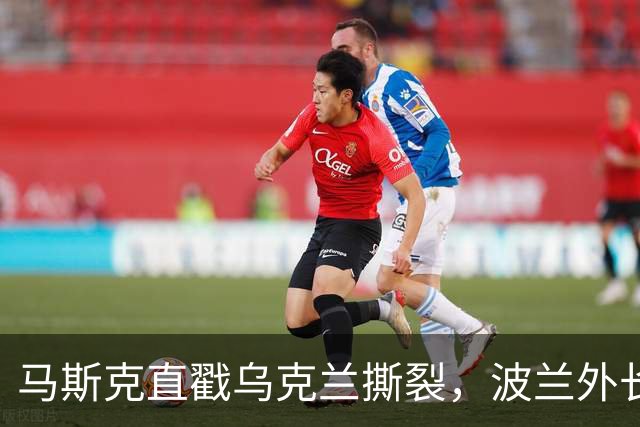 马斯克直戳乌克兰撕裂，波兰外长鸡贼回应