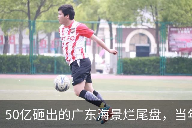 50亿砸出的广东海景烂尾盘，当年吹得多猛，现在荒得多狠！